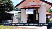 Pentingnya Pelatihan Bagi CPMI Sebelum Bekerja Ke Luar Negeri