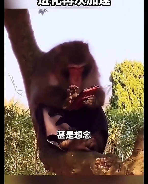 开心一刻