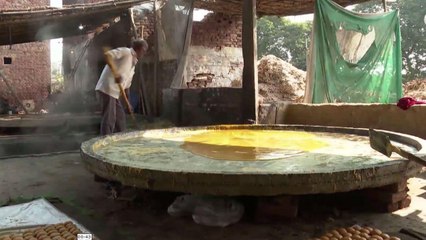 Ground report of biggest jaggery production in Muzaffarnagar