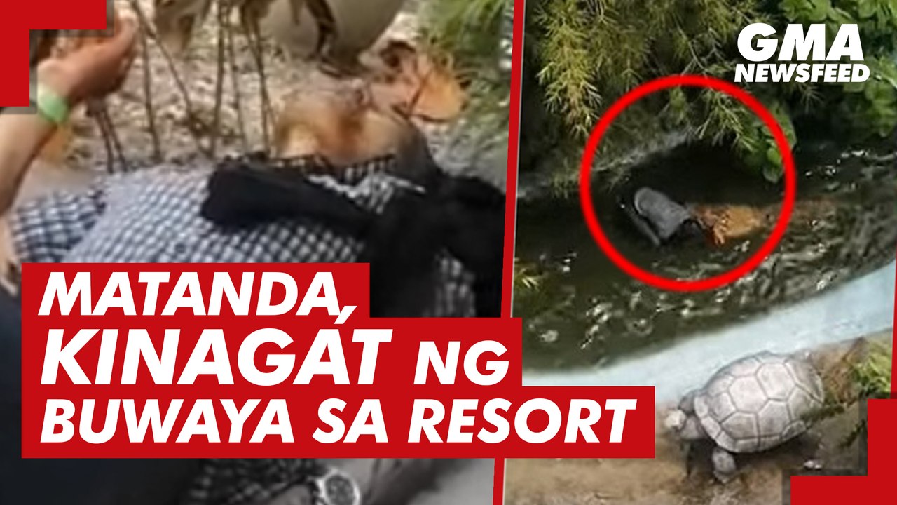 Matanda, kinagat ng buwaya sa resort | GMA News Feed
