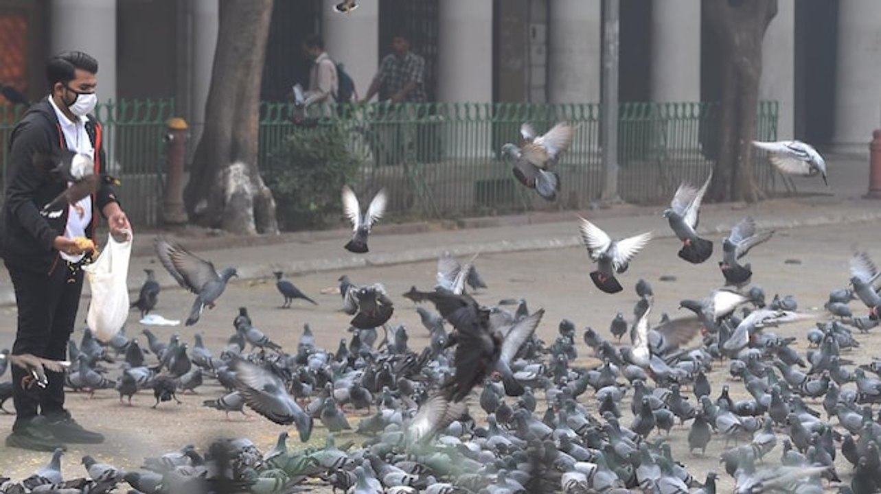 Delhi continues to breath toxic air