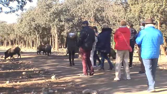 Valladolid ofrece turismo de fauna salvaje, catas y gastronomía como alternativa al sol y la playa