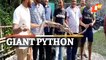 10-Ft-Long Burmese Python Triggers Panic, Rescued By Forest Personnel