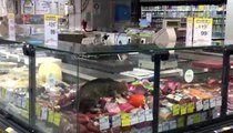 CarrefourSA'da şok eden görüntü: Reyona giren kedi kavurmayı yedi