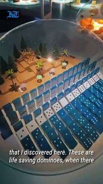 Inside the Japanese Pavilion at Expo 2020