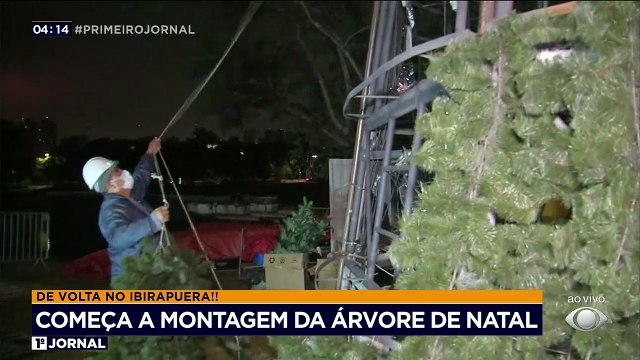 O Natal do Parque Ibirapuera, em São Paulo, está de volta depois de dois anos. A tradicional árvore está sendo montada e o trabalho não para nem de madrugada.