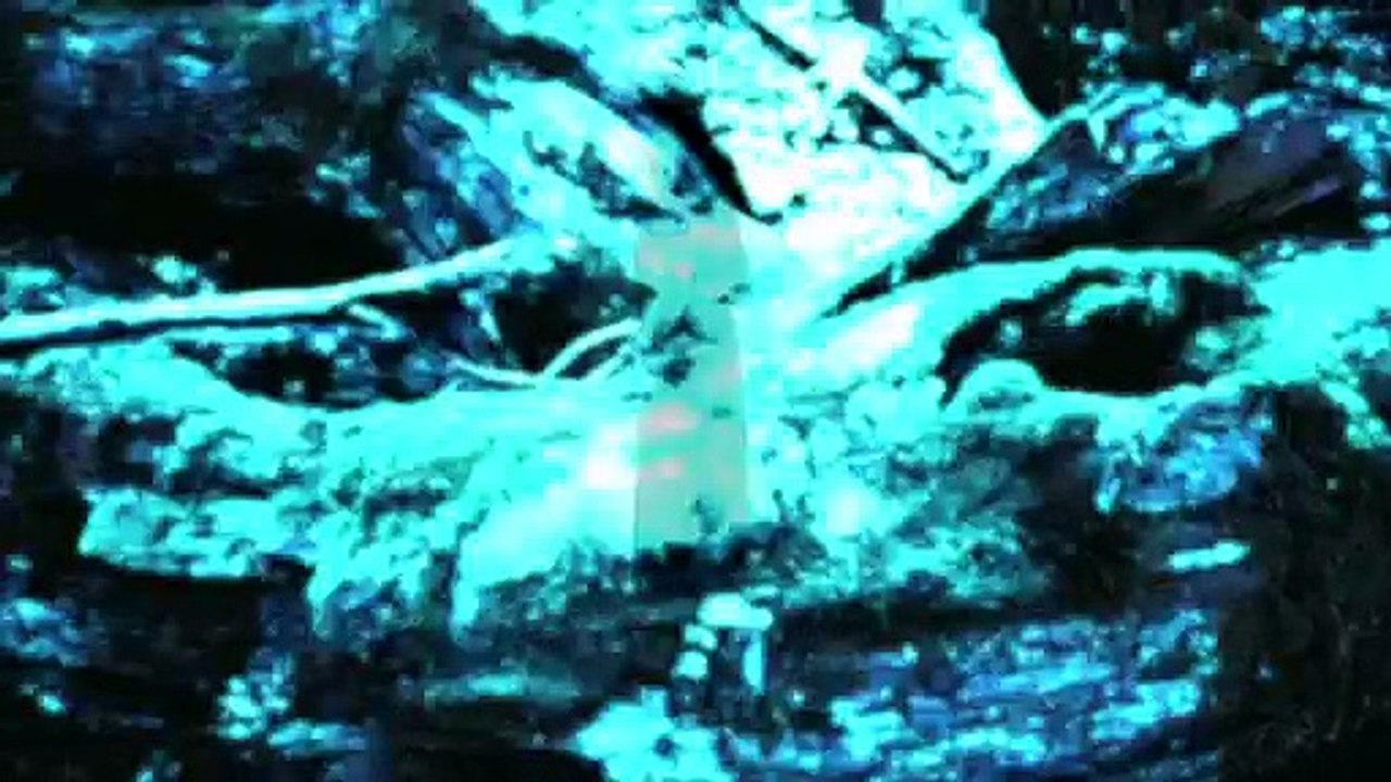 Haunted Cemetery - Scary but still romantic ghosts