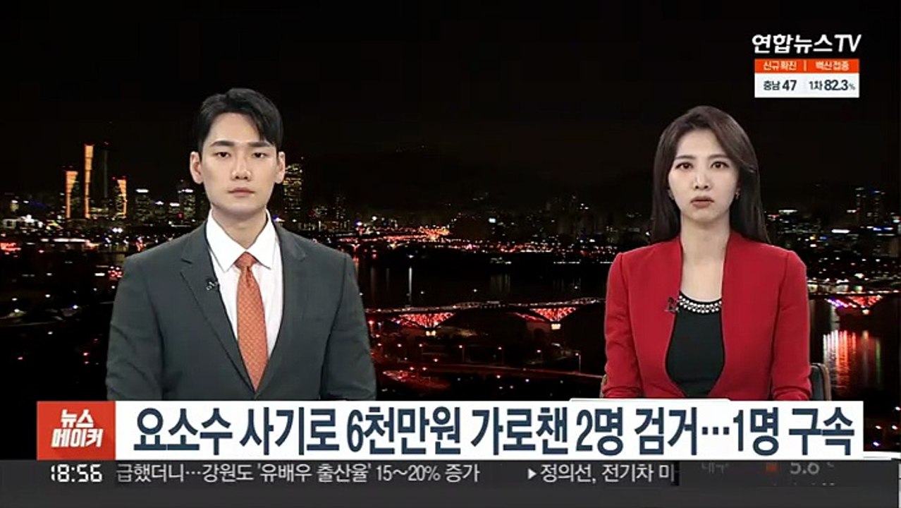 요소수 사기로 6천만원 가로챈 2명 검거…1명 구속