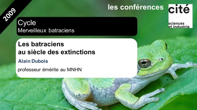 Les batraciens au siècle des extinctions