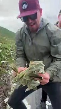 Pluie de billets sur une autoroute américaine - les automobilistes doivent rendre l'argent