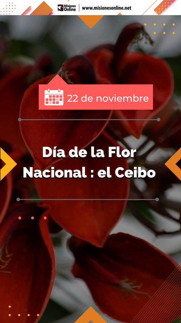 22 de noviembre: día de la Flor Nacional el Ceibo - Vídeo Dailymotion