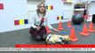 Découvrez les images bouleversantes de Monika, une chienne qui était martyrisée en Russie et qui peut à nouveau marcher grâce à quatre pattes artificielles