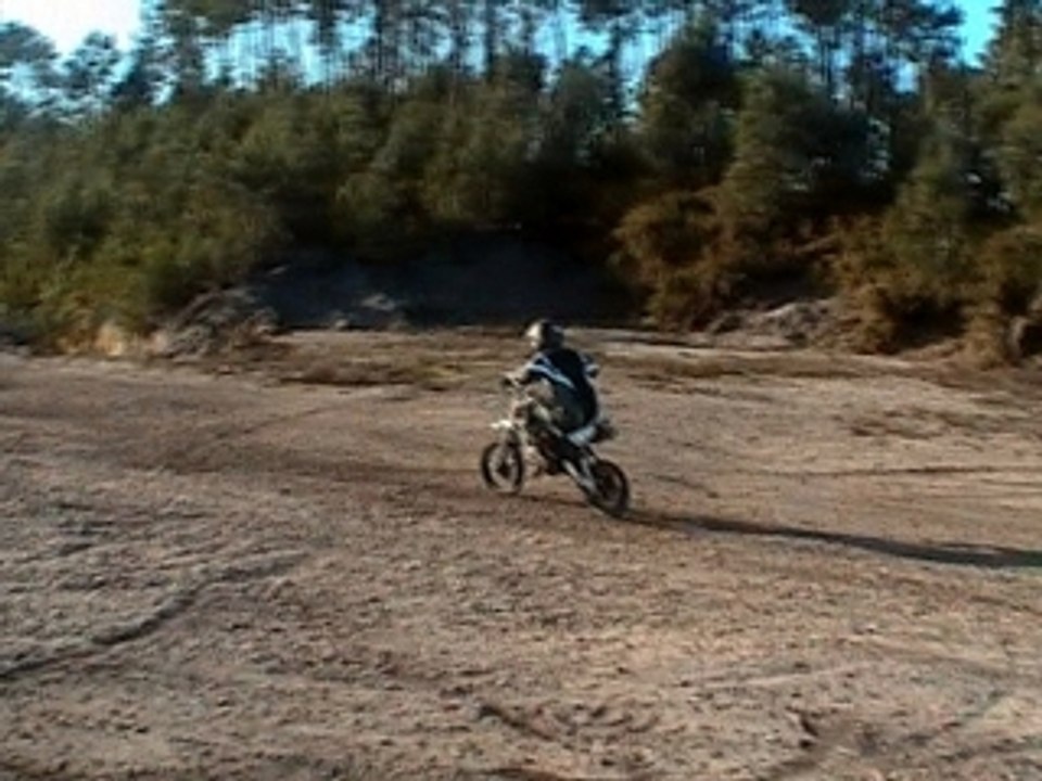 Damien oups la flaque