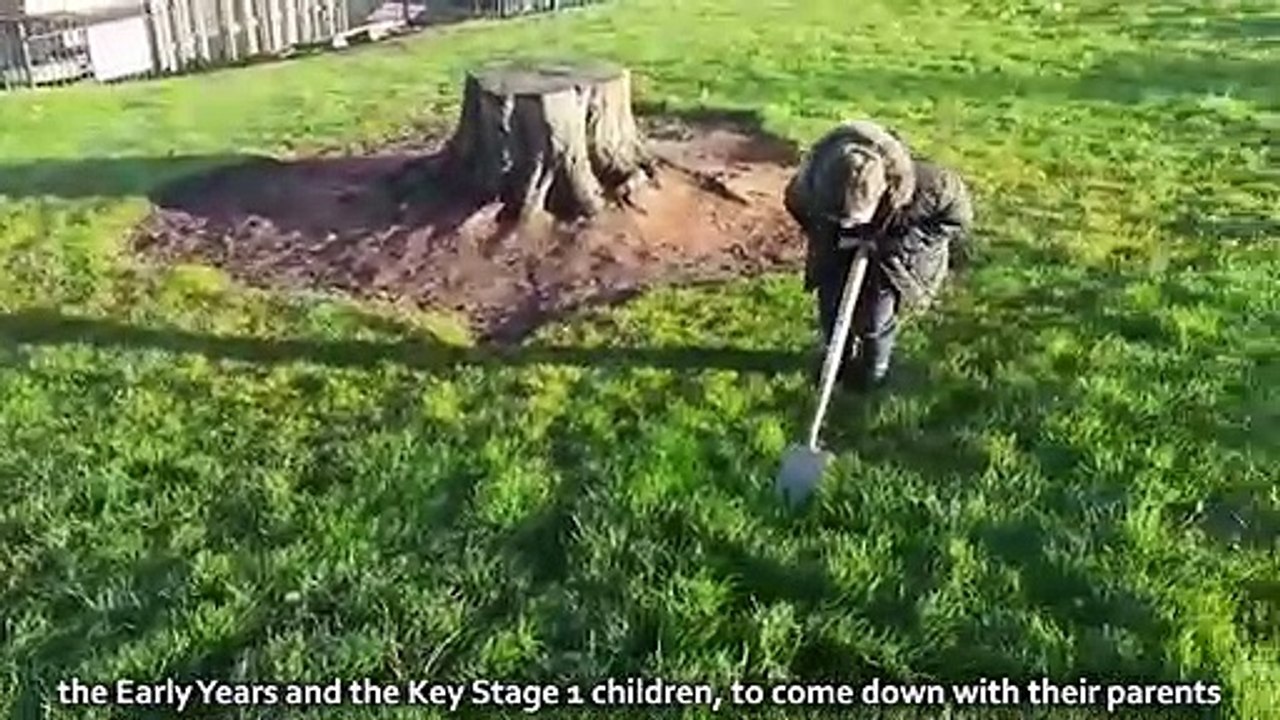 Hasting Hill Academy tree planting