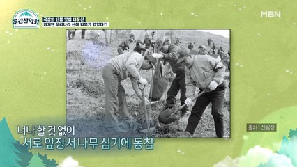 ★K-부심 뿜뿜★ 황폐화된 민둥산을 초록으로 만든 우리 국민들!