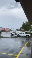 Watering in Pouring Rain