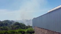 Incêndio ambiental mobiliza equipe do Corpo de Bombeiros na marginal da BR-277, em Cascavel
