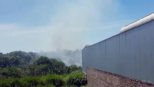 Incêndio ambiental mobiliza equipe do Corpo de Bombeiros na marginal da BR-277, em Cascavel
