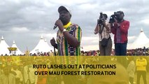 Ruto lashes out at politicians over Mau Forest restoration