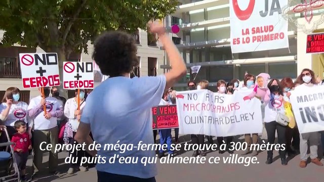 Espagne: la révolte des campagnes contre les usines à cochons