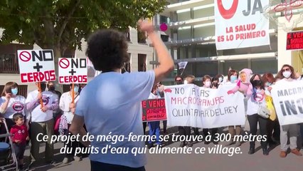 Espagne: la révolte des campagnes contre les "usines à cochons"