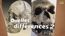 Homo sapiens et homme de Neandertal : quelles sont les différences ?