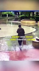 Si estás viendo tu teléfono, ¡ten cuidado!