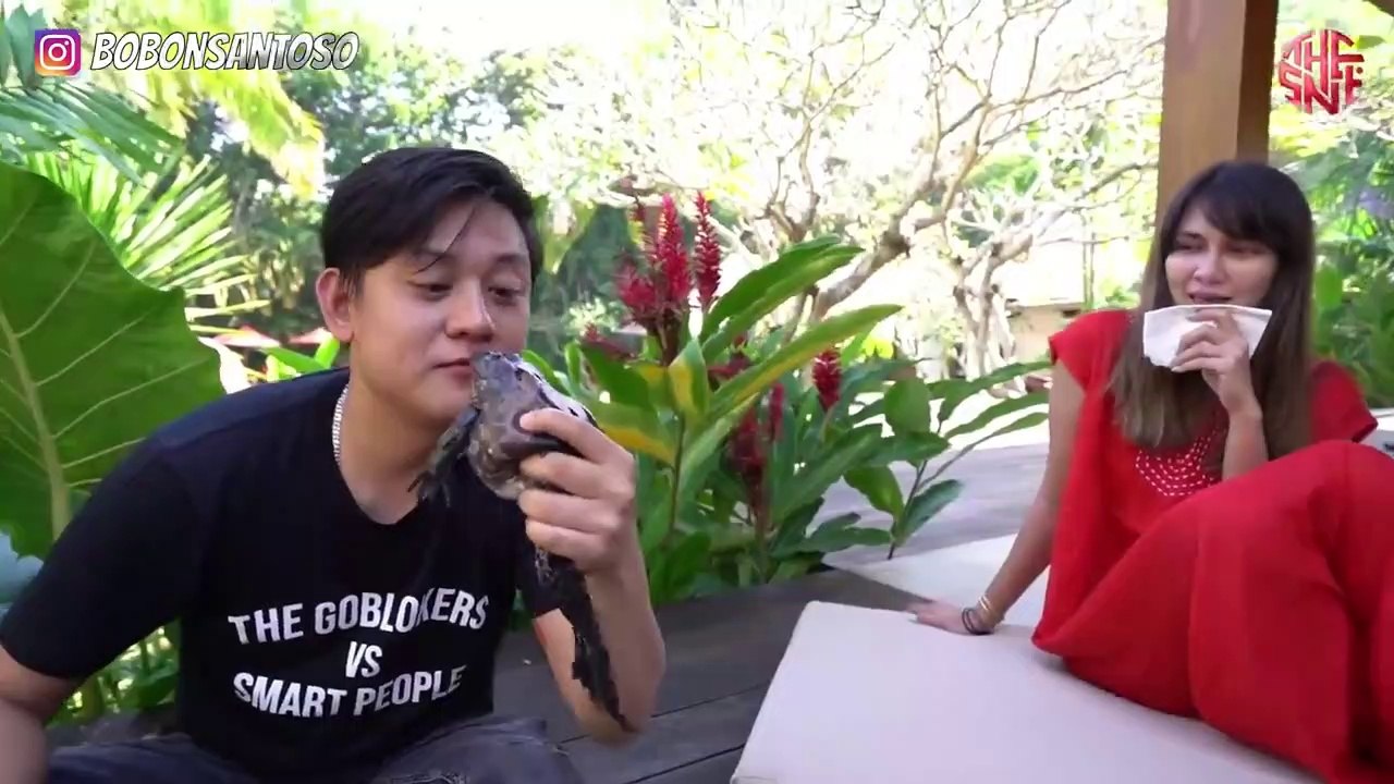MASAKIN LUNA MAYA STEAK KODOK BANGKONG! KULITNYA PALING ENAK..