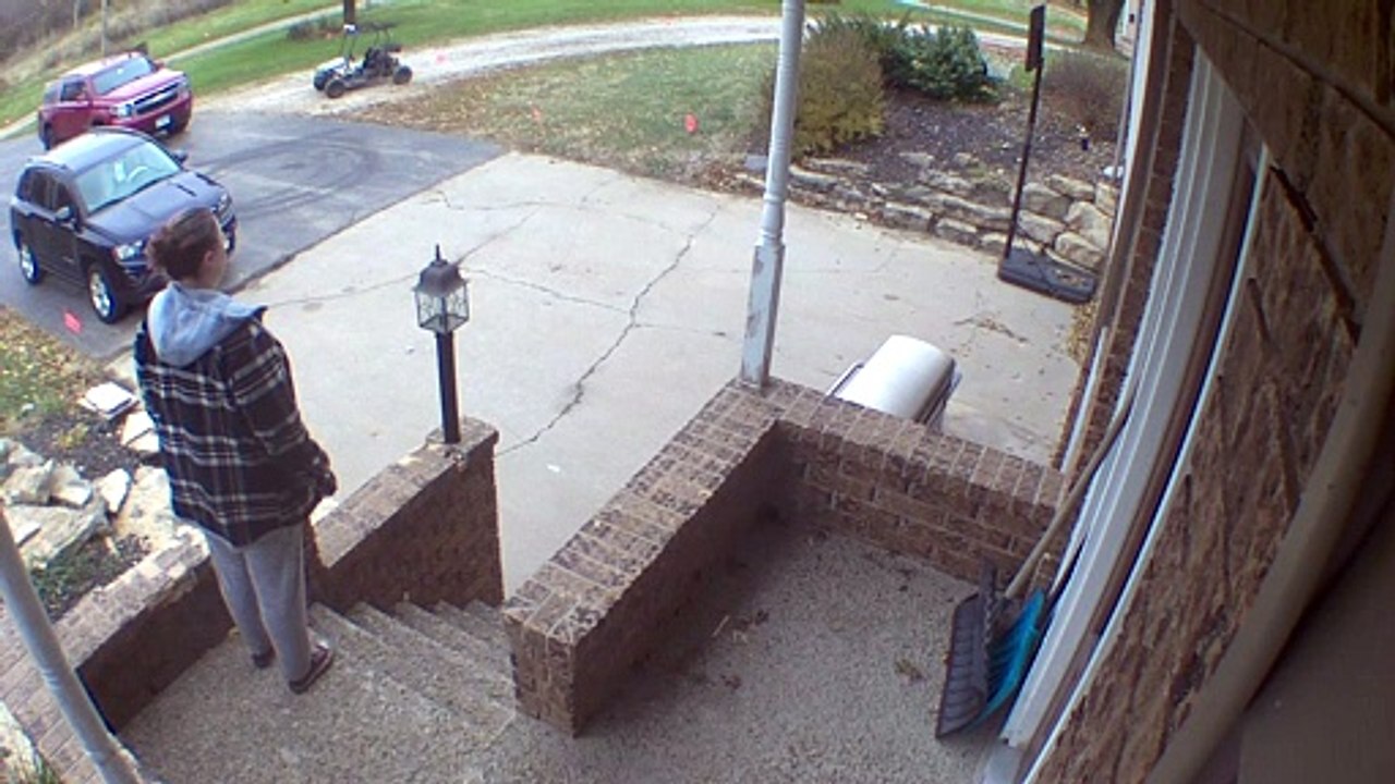 Dog Runs into Dad Parking Quad in Driveway