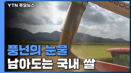 '풍년의 눈물'...남아도는 쌀 시장 격리 촉구 / YTN