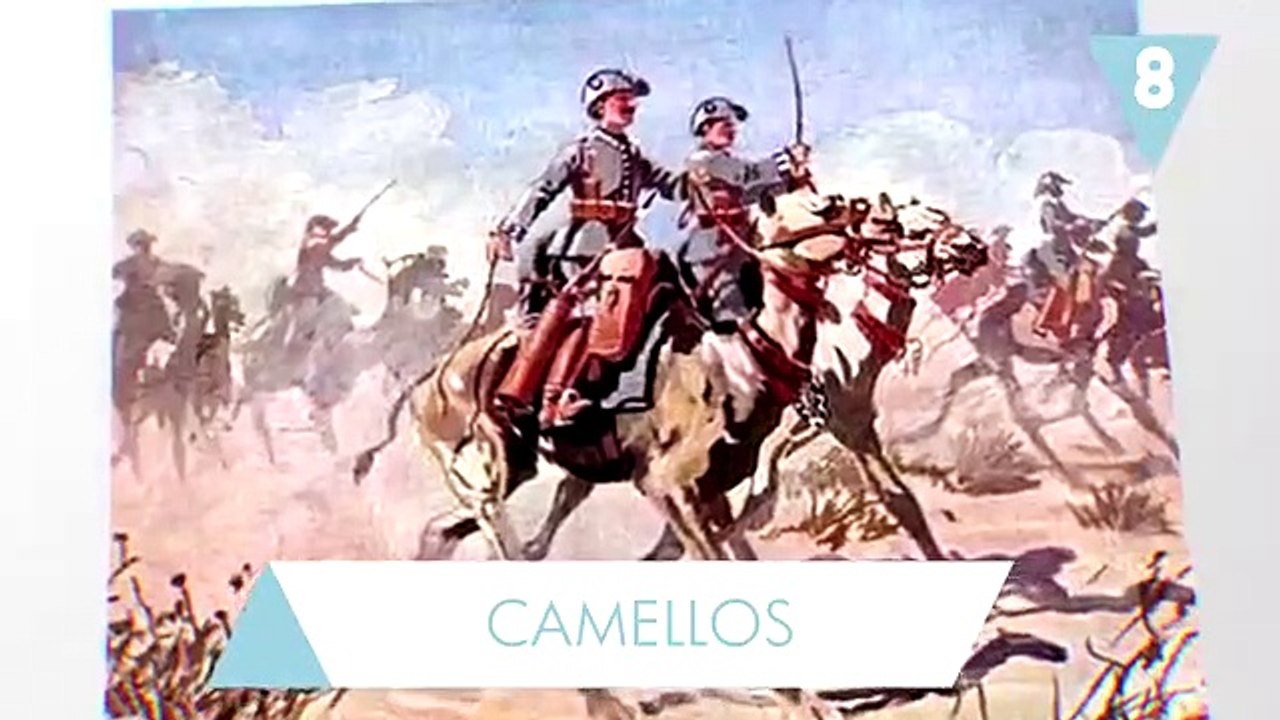 Animales que fueron a la guerra