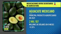 México negocia con Estados Unidos para ampliar la exportación del aguacate