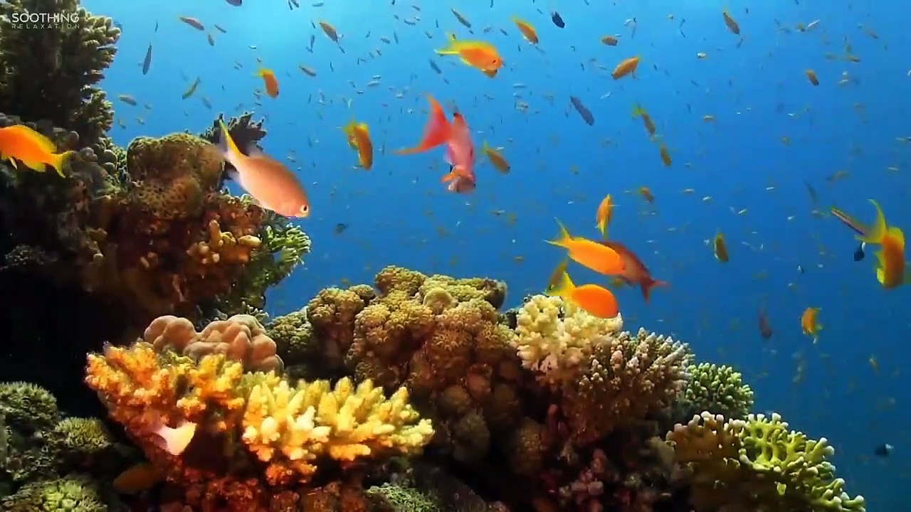 DeepSea_relaxing music