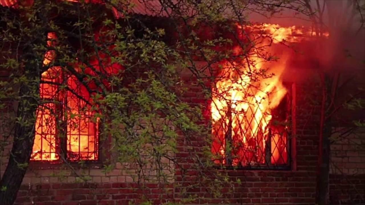 Barking Dogs Save Tennessee Family From Early Morning House Fire