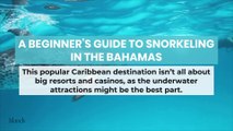 A Beginner s Guide to Snorkeling in the Bahamas