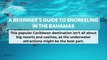 A Beginner s Guide to Snorkeling in the Bahamas