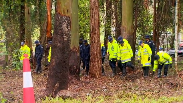 Police find more evidence in William Tyrrell search