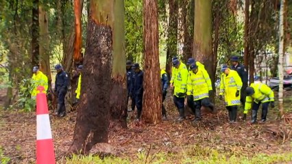 Police find more evidence in William Tyrrell search