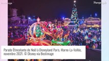 Jenifer, Vincent Cassel et Tina Kunakey... Les stars fêtent déjà Noël à Disneyland