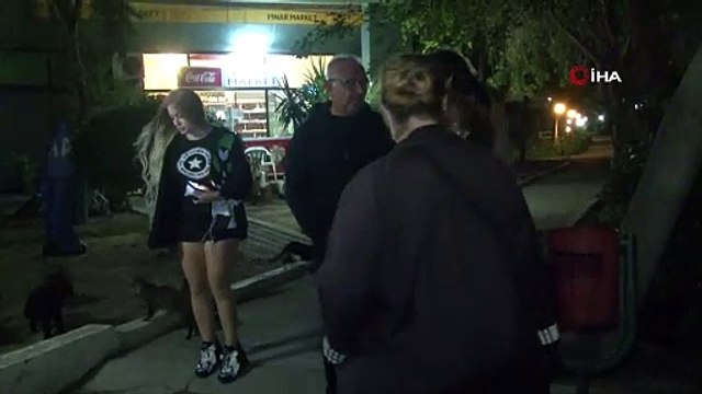 Beslediği kedileri hareketsiz gören kadın hıçkıra hıçkıra ağladı