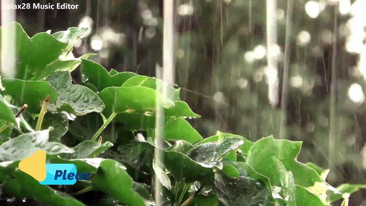  Heavy Rain Sounds at Night - Sleep, Study, Relax | Ambient Noise Rainstorm,Sleep, Meditation