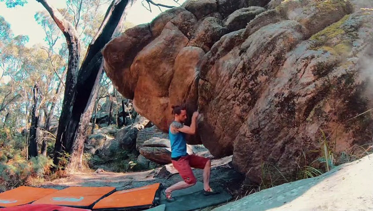 Sex Panther V9