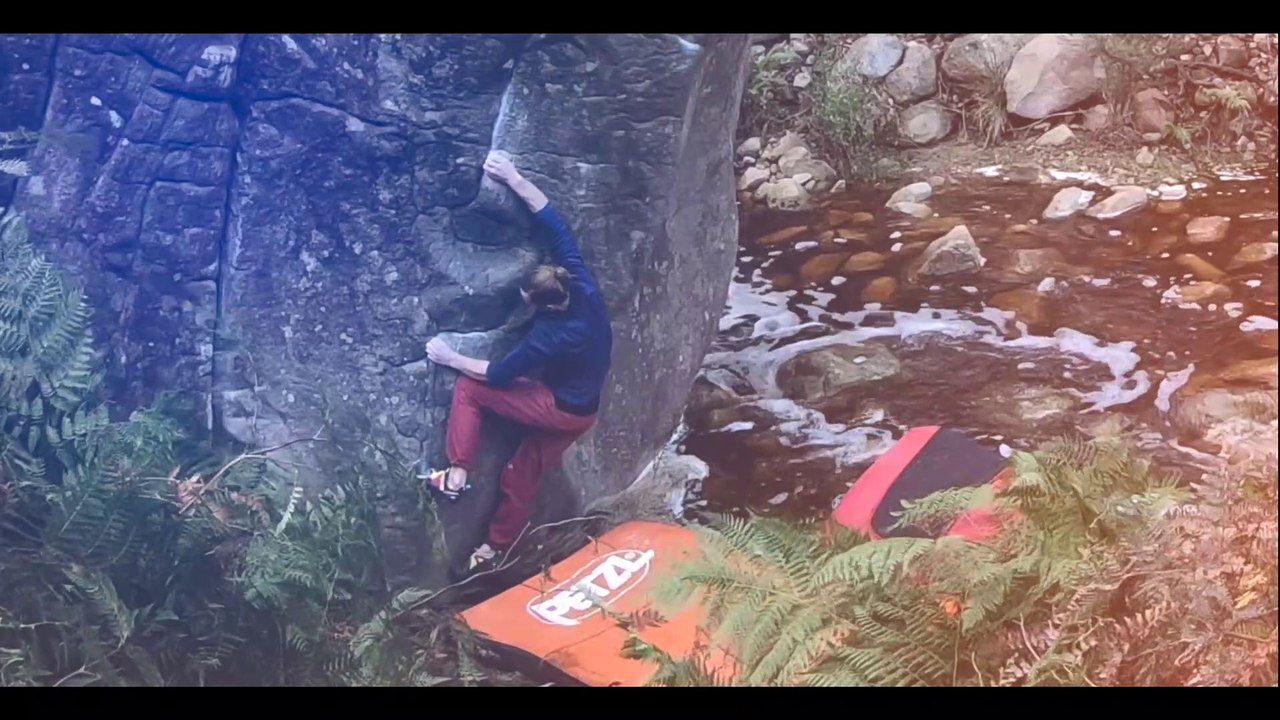 Immersion V9
