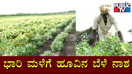 Dharwad: Flower Crop Destroyed Due To Heavy Rain
