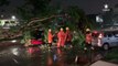 Bombeiros trabalham na retirada de árvore que caiu sobre carro no Guará 2