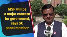 MSP will be a major concern for government, says SC panel member