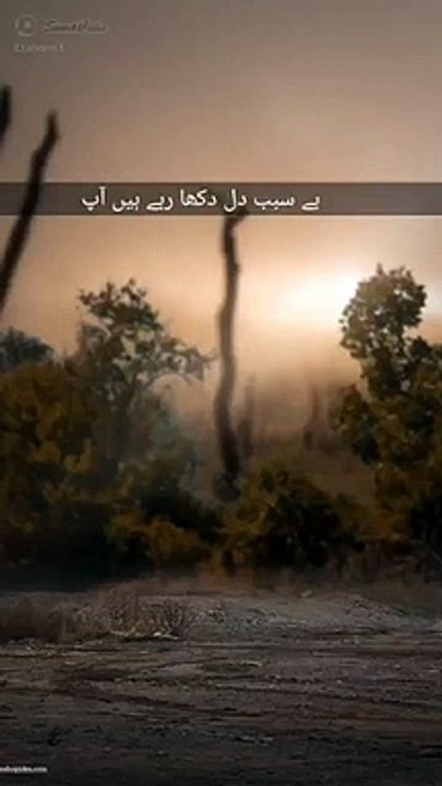 Urdu Poetry and  Urdu Shero shayari  boy attitude whatsapp status Hindi Poetry Status اردو شاعری (2)