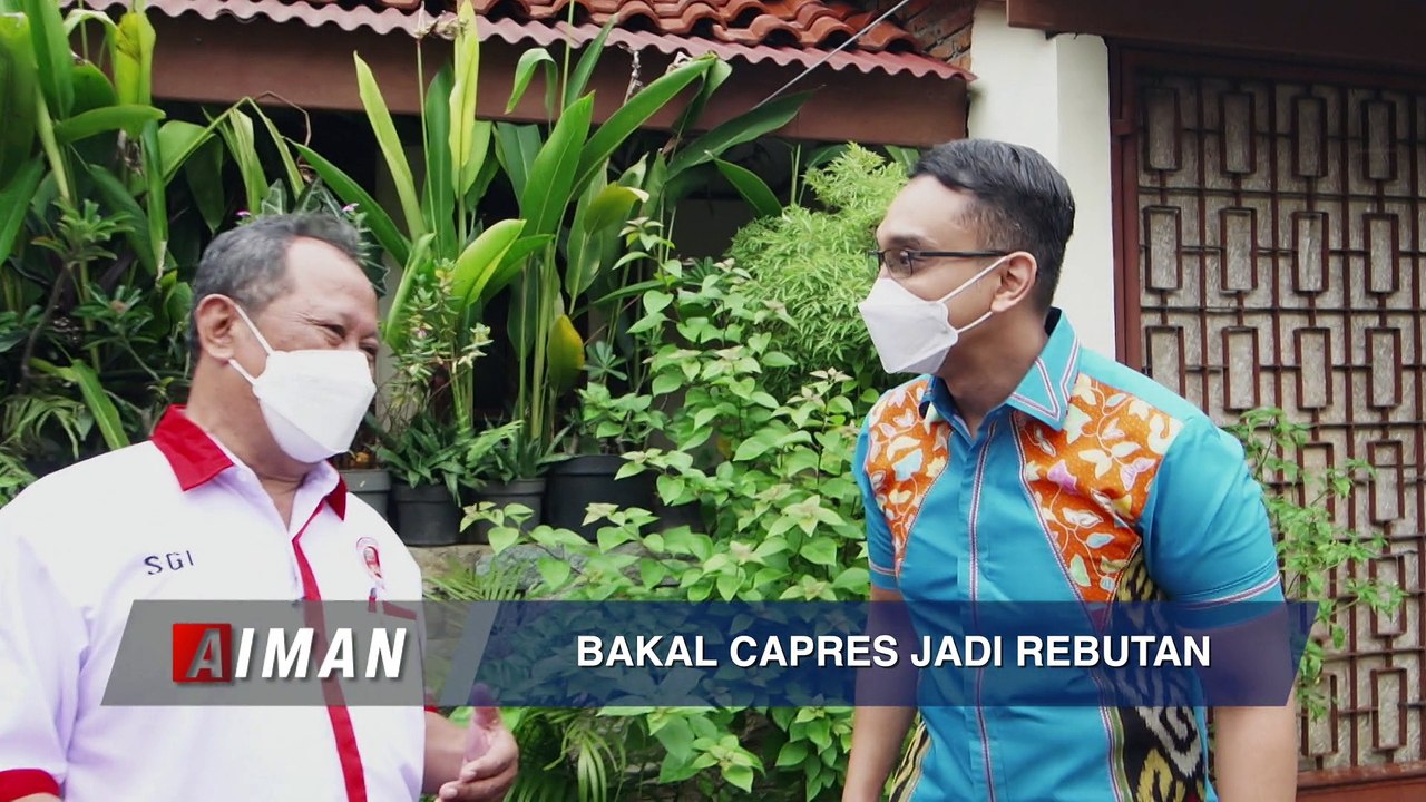 Wah, Banteng VS Celeng?! - AIMAN