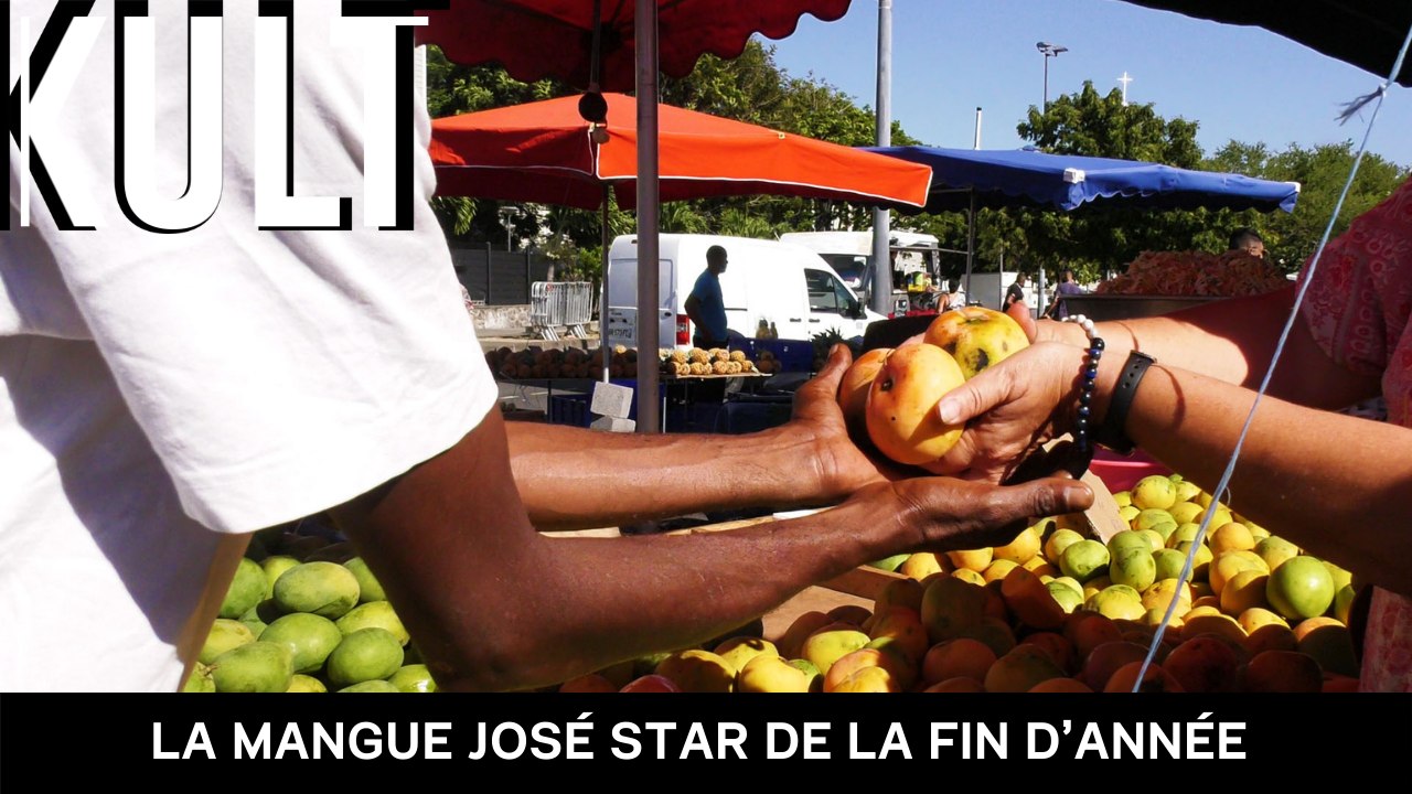 La mangue José star de la fin d’année