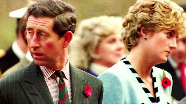 The Real Reason Prince Charles And Princess Diana Divorced